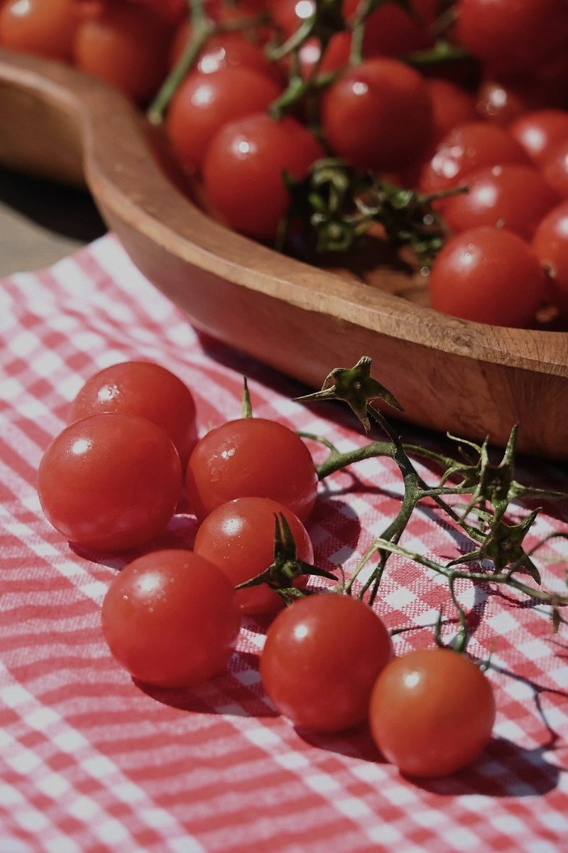 Tomatina in Spain
